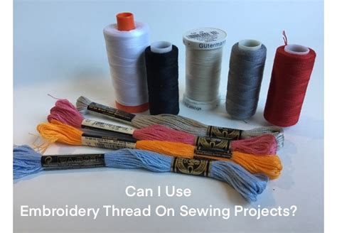 Can You Use Embroidery Thread in a Sewing Machine: A Diverse Examination of Options